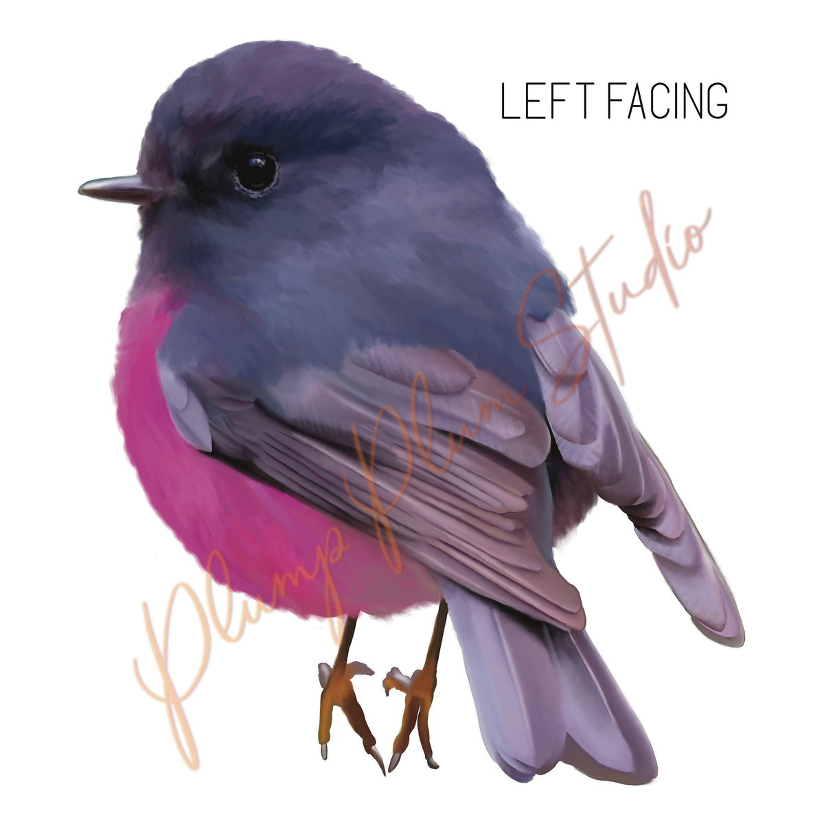 Pink Robin decal, pink robin vinyl sticker, peel/stick, light switch d ...