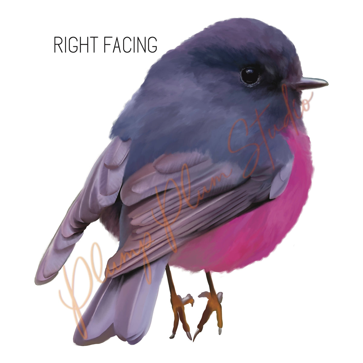 Pink Robin decal, pink robin vinyl sticker, peel/stick, light switch d ...