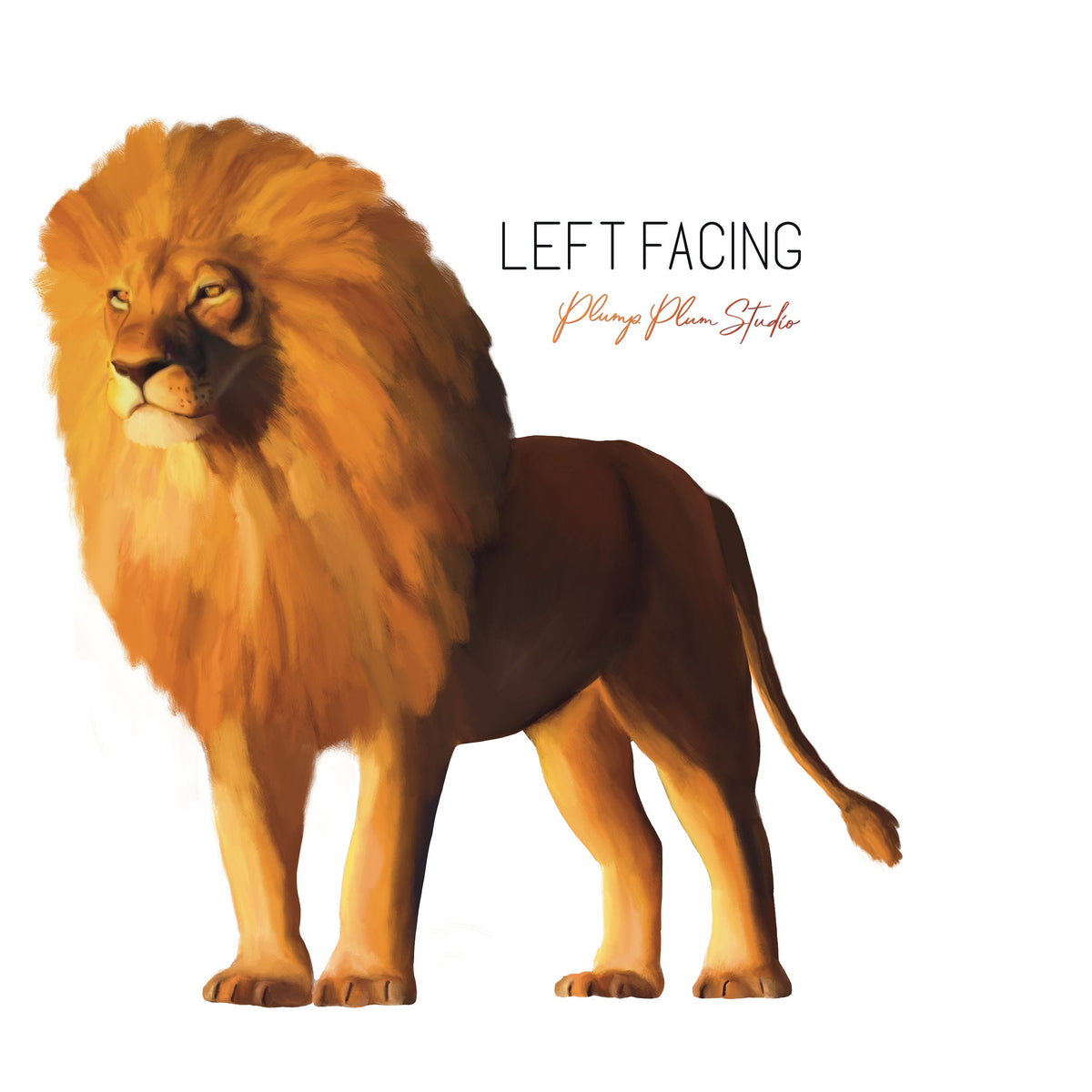 Lion decal, African male lion sticker, vinyl car or light switch decal ...
