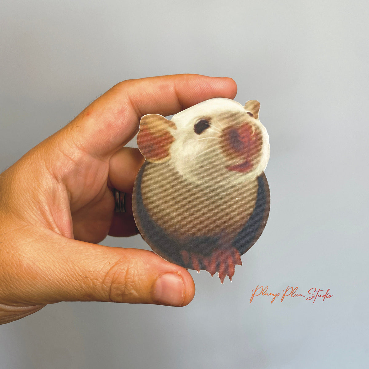 Raton Sticker Real Realistic rat decal, rat hole sticker, 3D rat sticker, illustrated rat ...